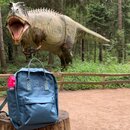 Set: JuNiki&acute;s Rucksack Dunkelt&uuml;rkis + 550ml Edelstahl Trinkflasche isoliert Pink