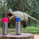 Set: JuNiki&acute;s Rucksack Dunkelt&uuml;rkis + 2x 550ml Edelstahl Trinkflasche isoliert Pink/Blau