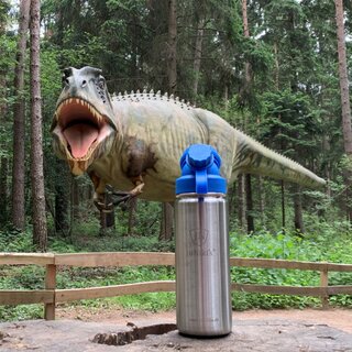 JuNiki&acute;s&reg; eco line isolierte Edelstahl Trinkflasche 550ml - Teefilter erg&auml;nzbar - Blau