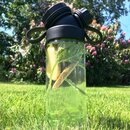 BOROSILICATE GLASS // 18OZ // SINGLE WALL