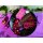 edding 751-3 Glanzlackmarker Set metallic